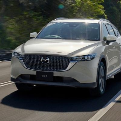 ƯU NHƯỢC ĐIỂM CỦA HYUNDAI SANTAFE KHI SO SÁNH VỚI MAZDA CX-8