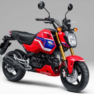 HONDA GROM 2026 RA MẮT: MINI BIKE ‘BÉ HẠT TIÊU’ THÊM NGẦU VỚI MÀU MỚI