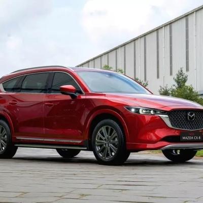 XE NÀO DẪN ĐẦU TRONG PHÂN KHÚC SUV CỠ D NỬA ĐẦU NĂM 2026
